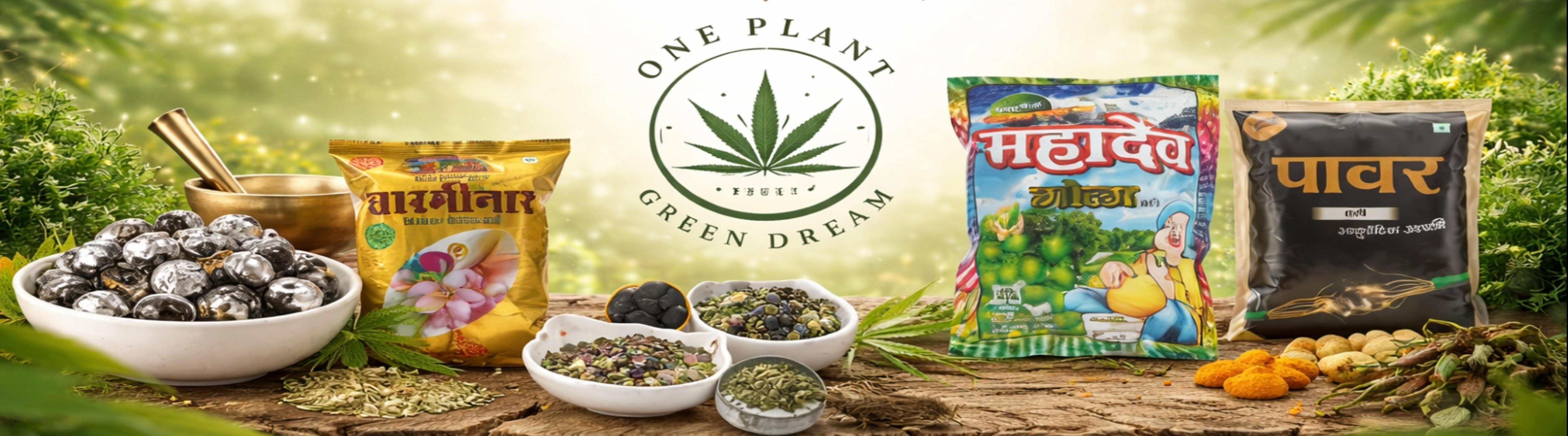 One Plant